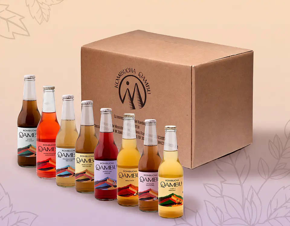 CAJA x15un - KOMBUCHA MIXTO BT 350ML 1