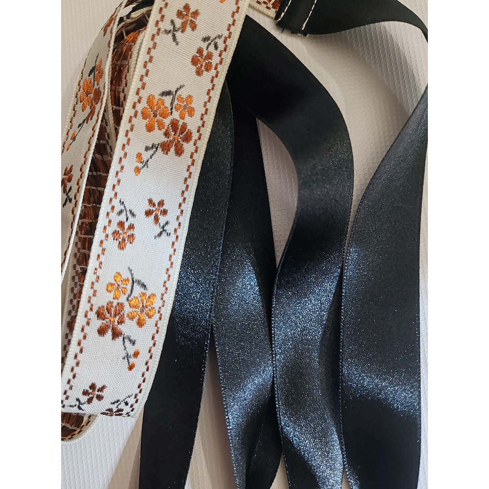 LIGACAMES ATAPIERNAS 