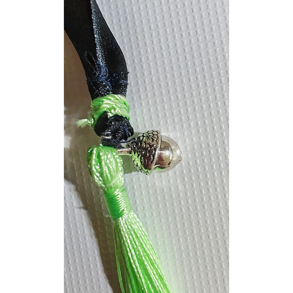 LIGACAMES ATAPIERNAS 