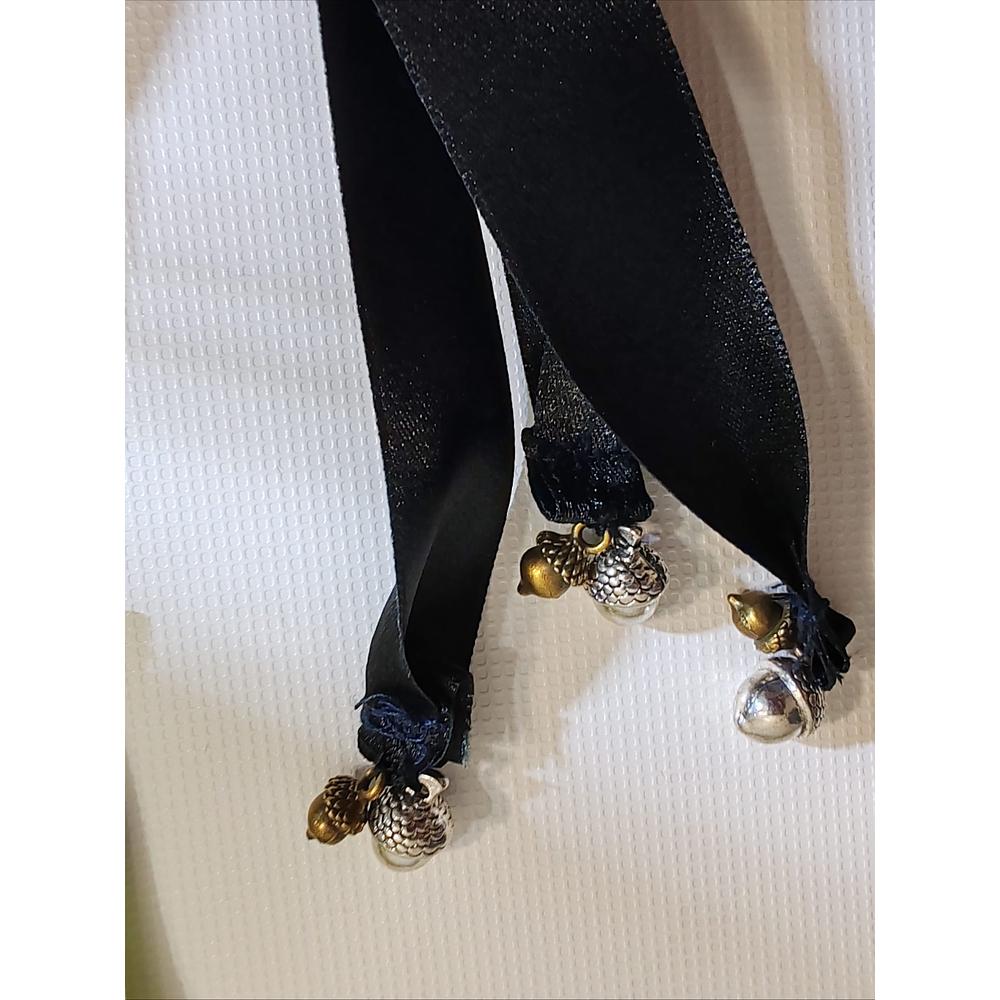 LIGACAMES ATAPIERNAS 