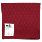 pañuelo coronario infantil
