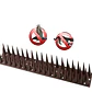 Pack 14 Púas Repelentes Palomas Anti Aves Ahuyentador - Miniatura 1