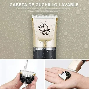 Maquina Corta Pelo Perros Cortadora Usb Accesorios Gatos