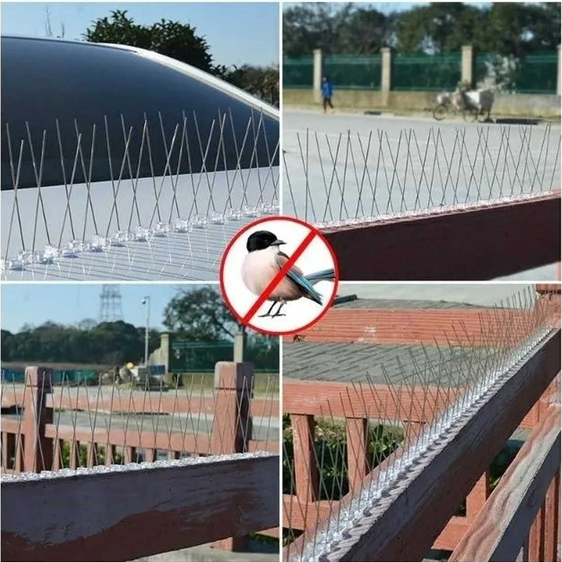 Pack 5 Púas Repelentes Palomas Anti Aves 3