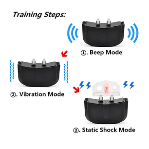 Set Collar Eléctrico Entrenamiento Para Adiestramiento Perro