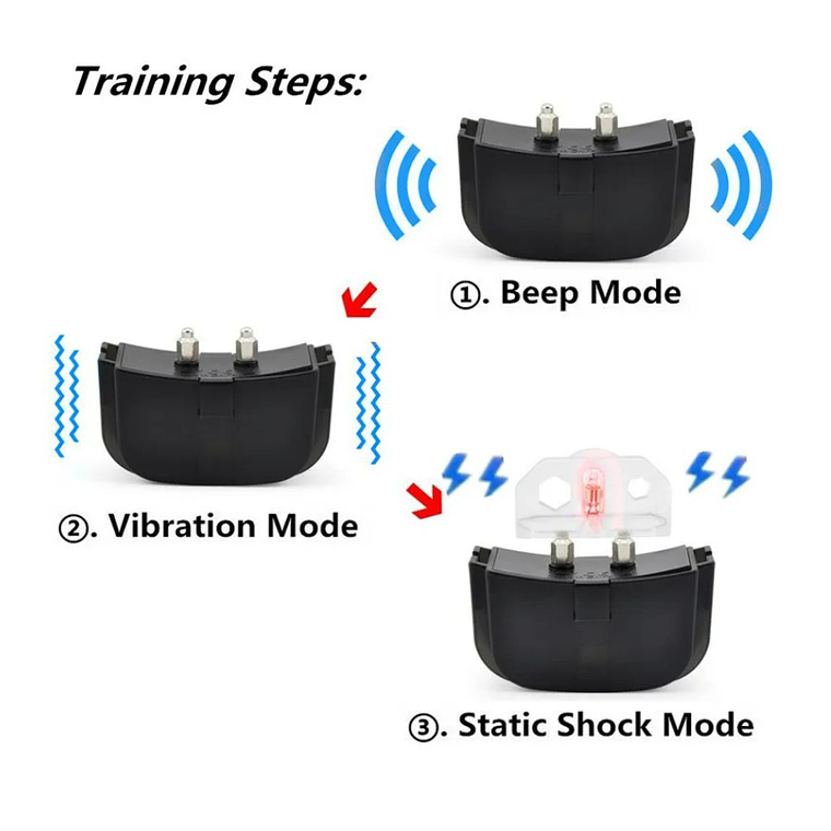 Set Collar Eléctrico Entrenamiento Para Adiestramiento Perro 2
