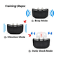 Set Collar Eléctrico Entrenamiento Para Adiestramiento Perro - Miniatura 2