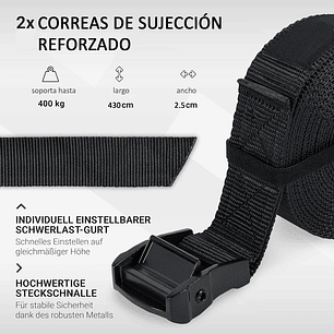 Anillas Olimpicas Fitness Calistenia Correa + Hebillas