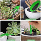 Kit Mini Herramientas Plantas Jardinería Suculentas 15piezas - Miniatura 3