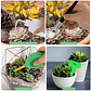Kit Mini Herramientas Plantas Jardinería Suculentas 15piezas - Miniatura 4