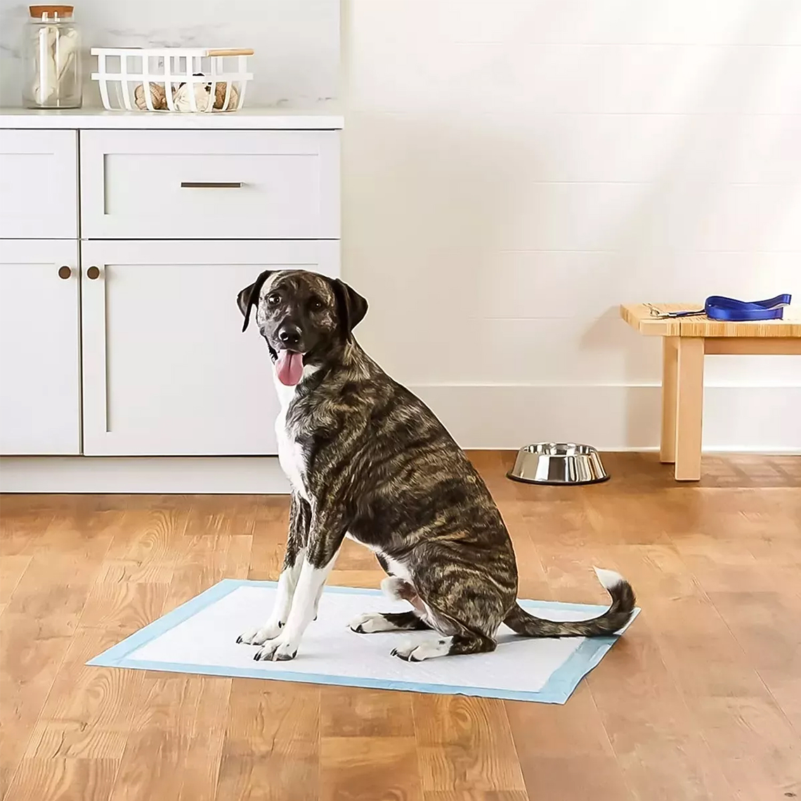 20 Pañales Tipo Sabanillas Mascotas Perros Y Gato 90x60 Cms 4