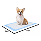 50 Pañales Tipo Sabanillas Mascotas Perros Gatos 60x45 Cms - Miniatura 5