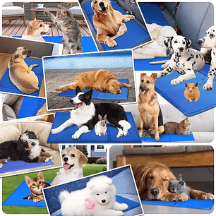 Manta Alfombra Refrescante Para Mascotas 90x50