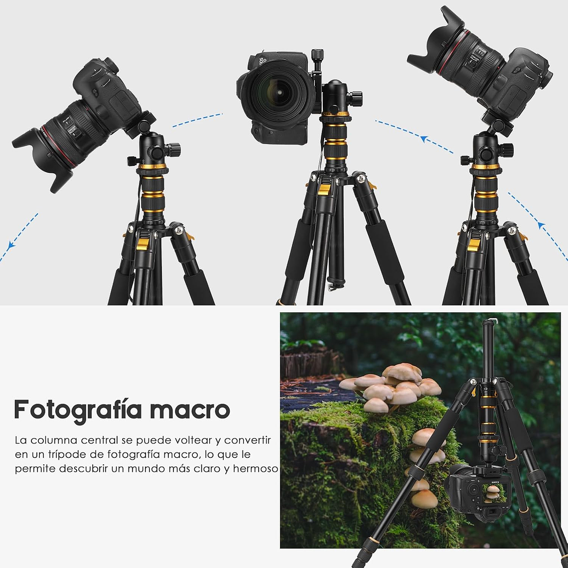 Tripode Camara fotografica, Celular Video Profesional Con Cabezal 5