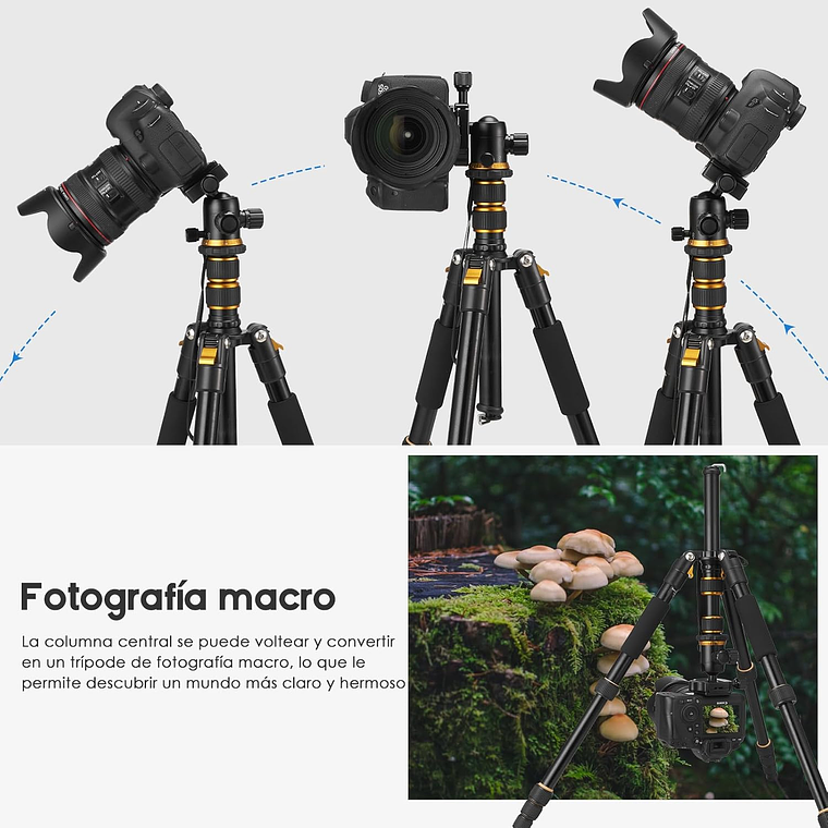 Tripode Camara fotografica, Celular Video Profesional Con Cabezal 5