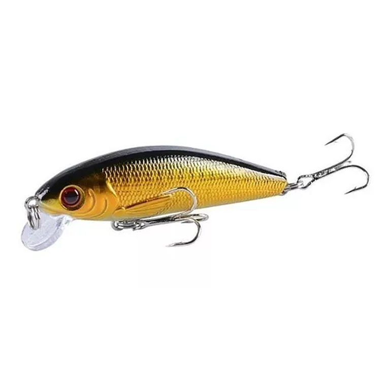 Pack 10 Señuelos Pesca Rapala 7.2cm Lenguado Corvina 2