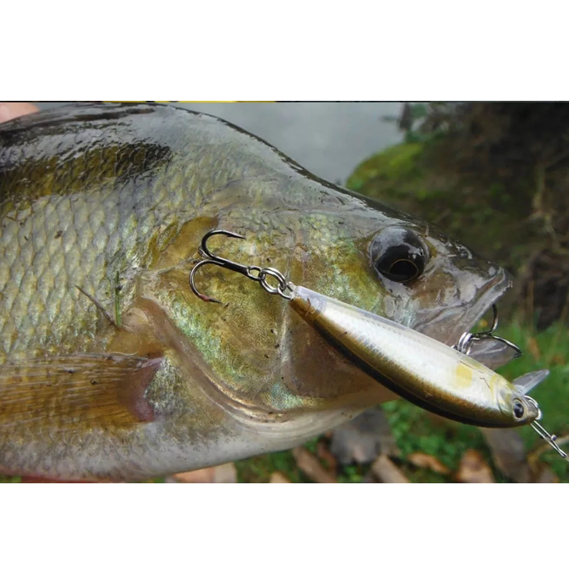 Pack 10 Señuelos Pesca Rapala 7.2cm Lenguado Corvina 4