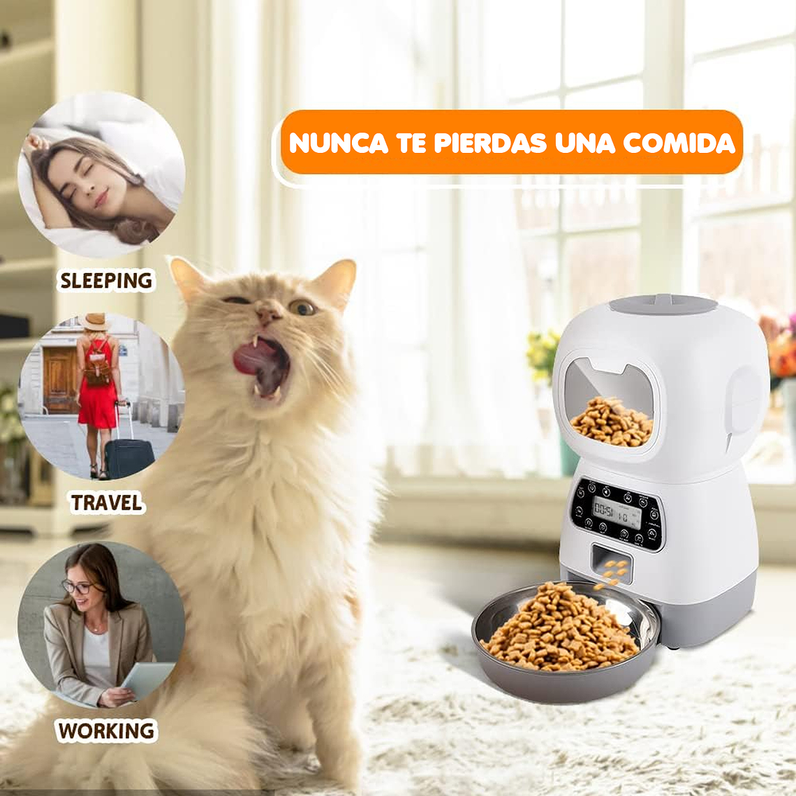 Dispensador Automático De Alimentos Para Mascotas 5