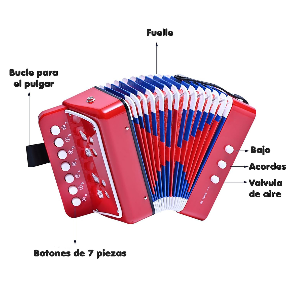 Mini Acordeón De Juguete Para Niños 7 Notas 2