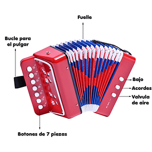 Mini Acordeón De Juguete Para Niños 7 Notas