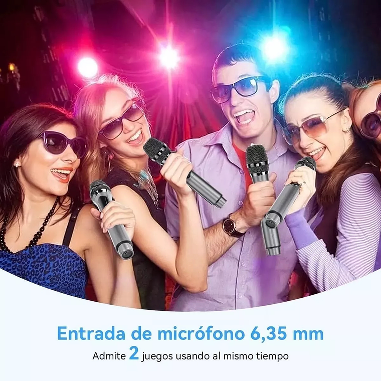 Micrófono Inalámbrico Profesional Karaoke Kit 2pcs 2