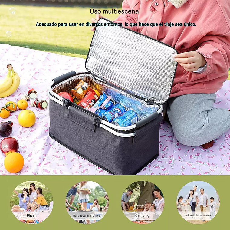 Canasta Picnic Cooler Bolso Térmica Plegable Portátil 3