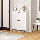 Zapatero Mueble Cajonera Organizador Para Zapatos 2 Niveles - Miniatura 2