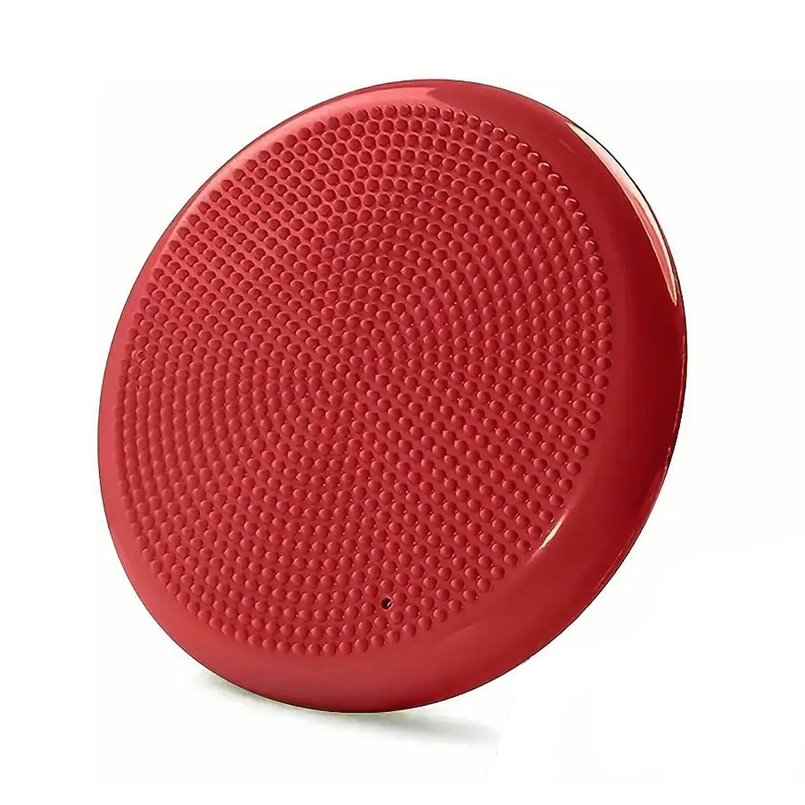 Cojín Autismo Sensorial Propioceptivo Yoga Balones +inflador 1