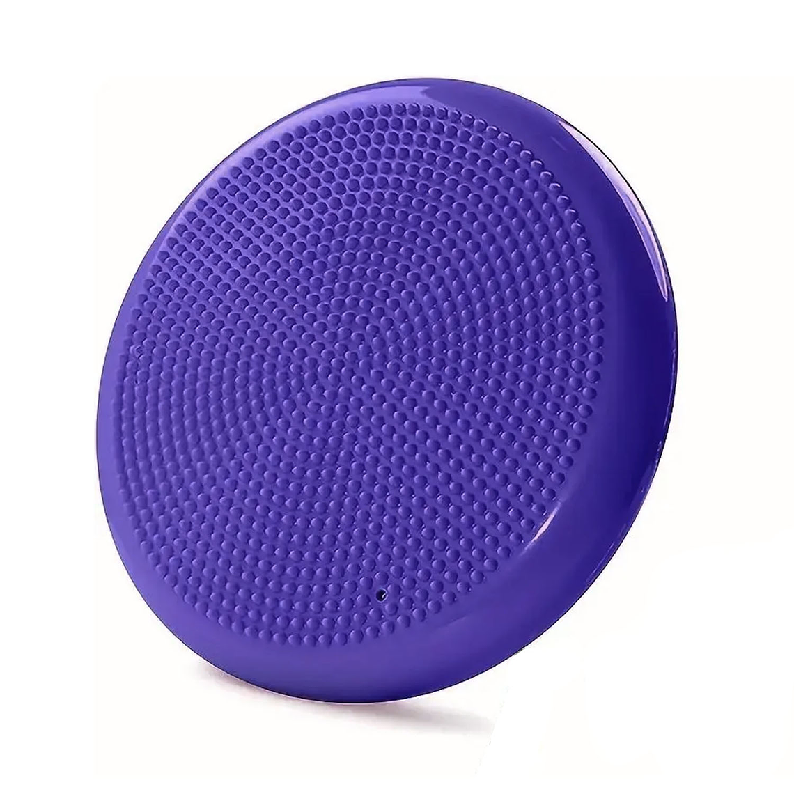 Cojín Autismo Sensorial Propioceptivo Yoga Balones +inflador 4