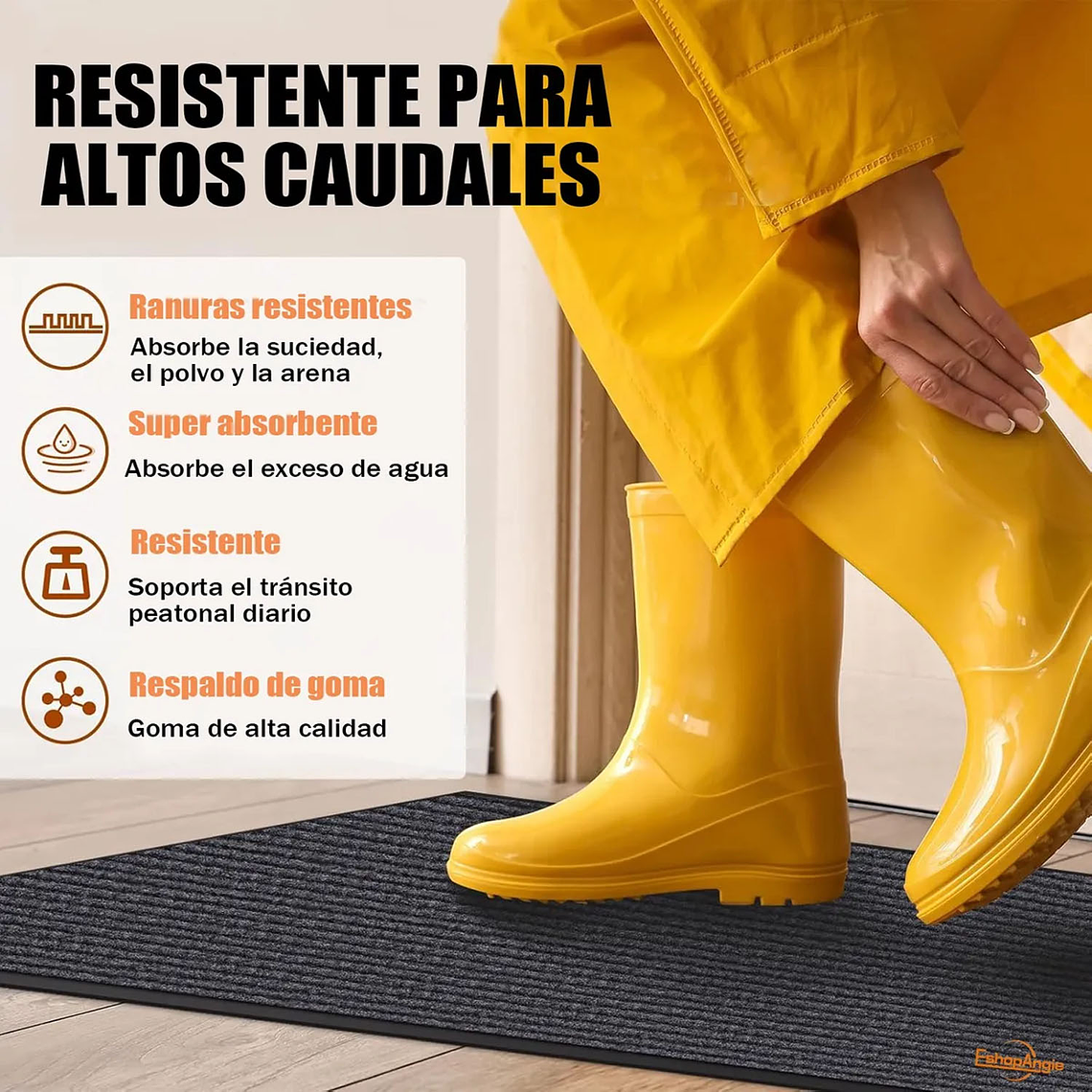 Alfombra Tapete Limpiapiés Para Entrada Exterior 60x40cm 2