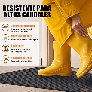 Alfombra Tapete Limpiapiés Para Entrada Exterior 60x40cm