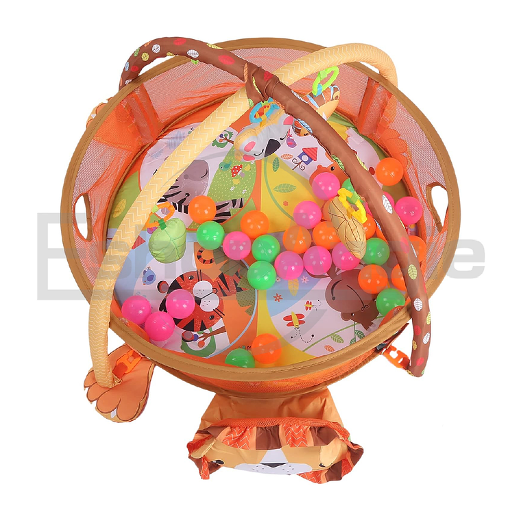 Gimnasio Centro De Juegos Para Bebé Y Piscina Pelotas 2