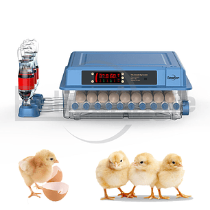 Incubadora 50w Digital Automática 36 Huevos