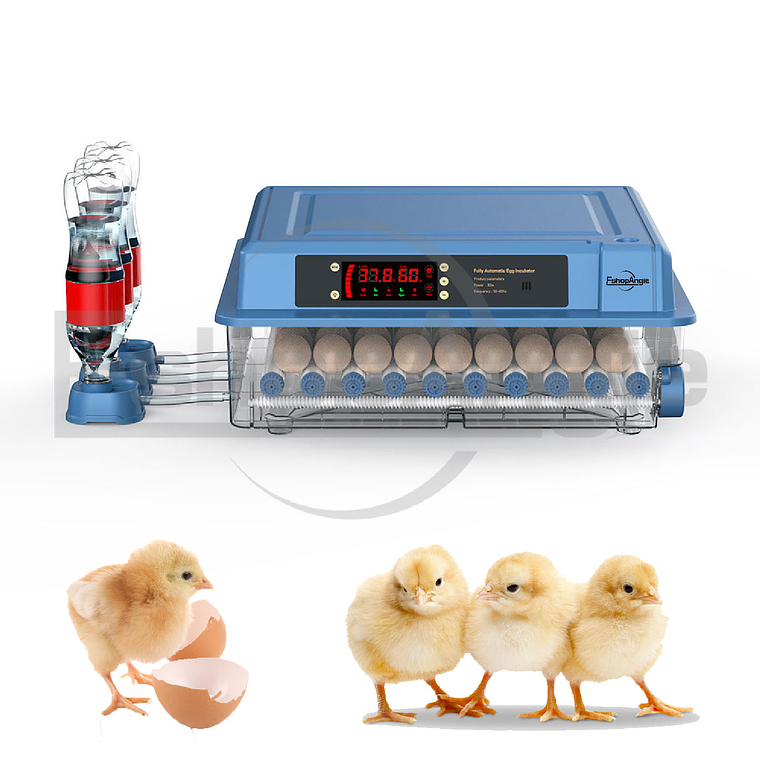 Incubadora 50w Digital Automática 36 Huevos 1