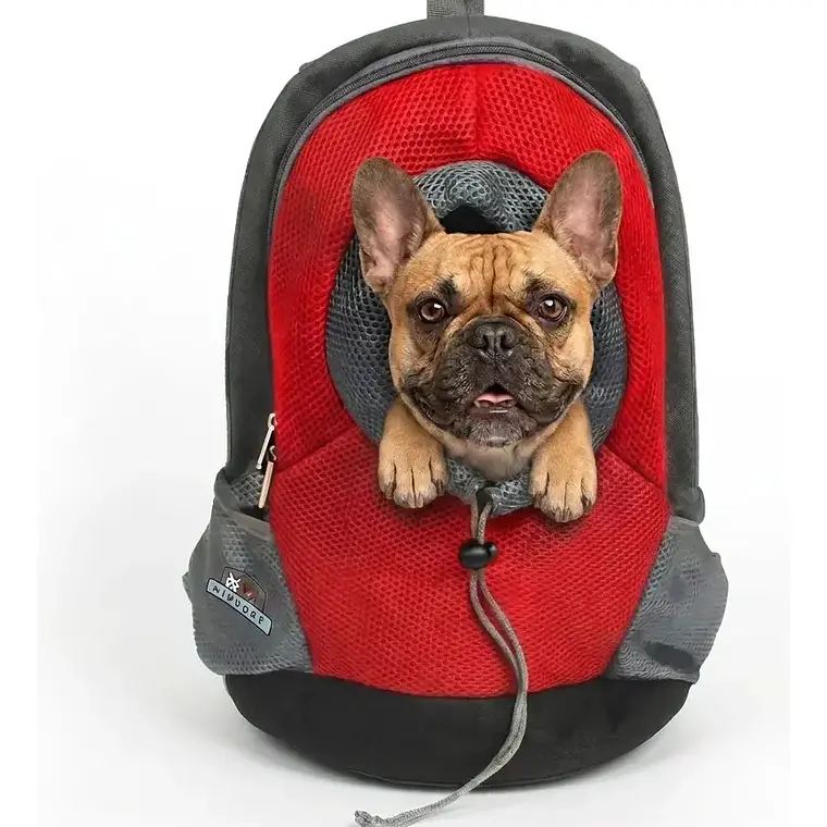 Mochila Transportadora Mascota Perros Gatos Malla Respirable 1