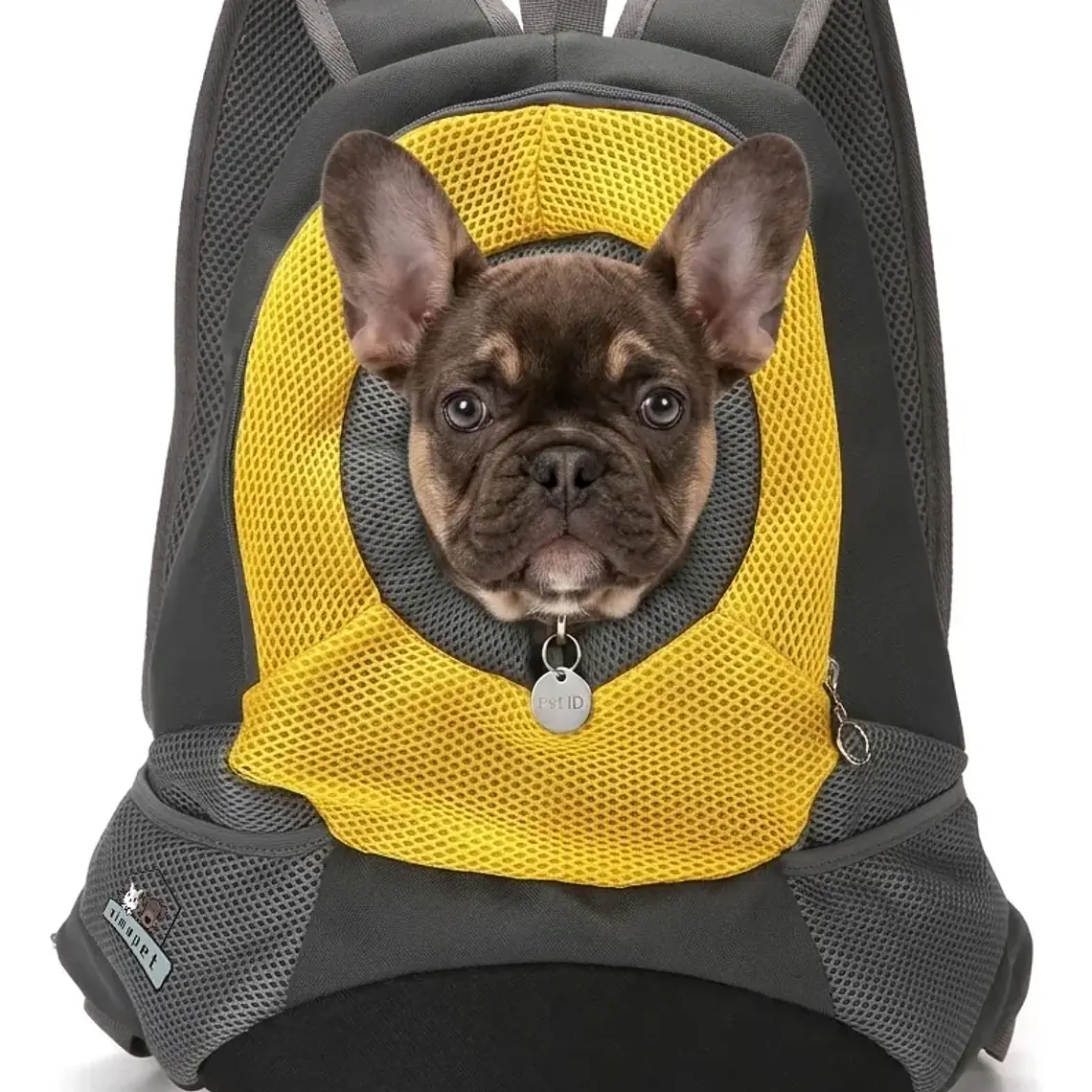 Mochila Transportadora Mascota Perros Gatos Malla Respirable 4