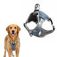 Arnes Anti Tirones Acolchados Para Perro Tallas S a XL - Miniatura 1