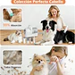 Kit Cortapelo Aspiradora Perros Gatos Aseo Mascotas 2 En 1 - Miniatura 5