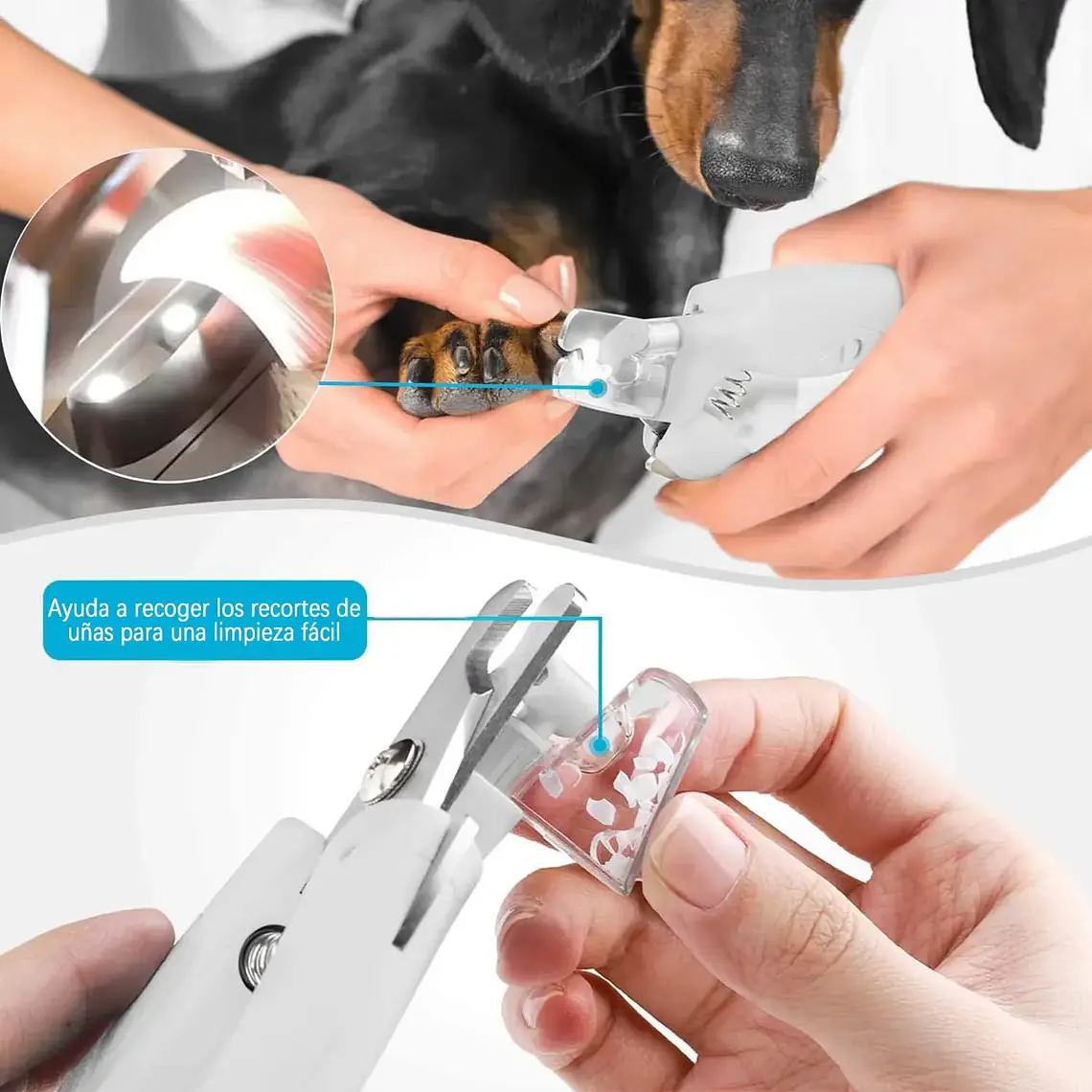 Corta Uñas Para Mascotas Perros Gatos Con Luz Led Y Lima 4