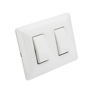 Interruptor De Luz Doble 250v/10a 10 A 250v