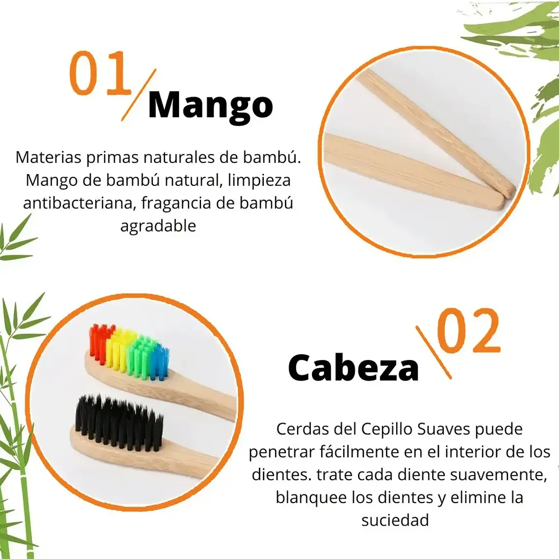 Cepillo De Dientes Bambu Adulto Pack 10 Unidades Ecologicos 3
