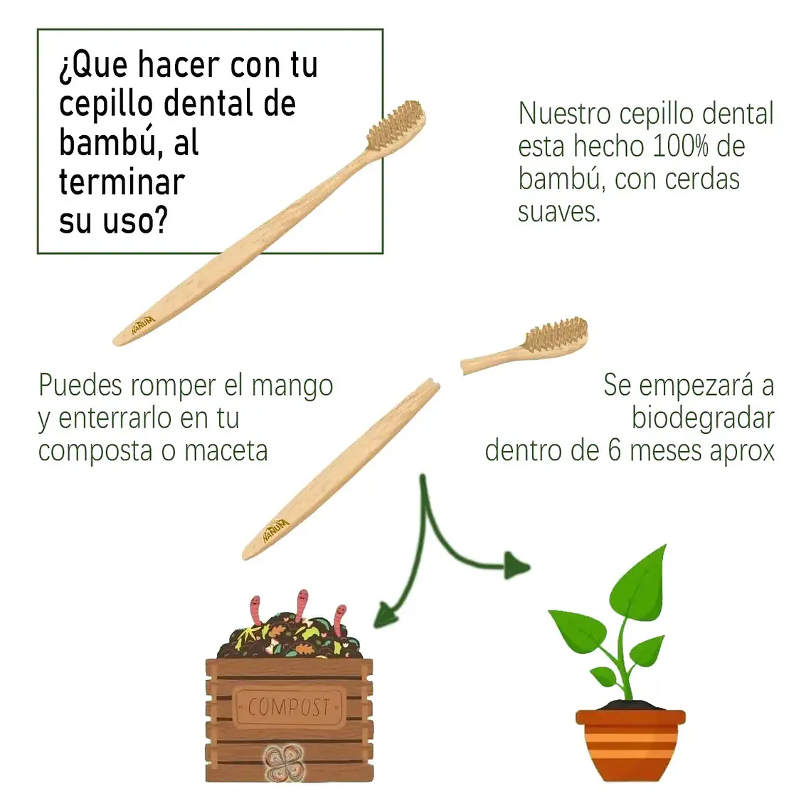 Cepillo De Dientes Bambu Adulto Pack 10 Unidades Ecologicos 5