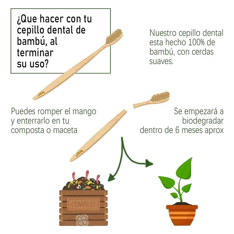 Cepillo De Dientes Bambu Adulto Pack 10 Unidades Ecologicos 5