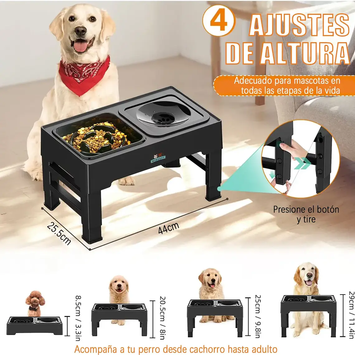 Comedero Bebedero Elevado Regulable 2en1 Perros Gatos Platos 8