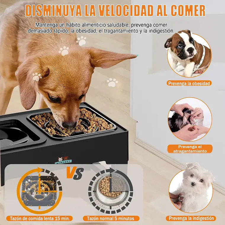 Comedero Bebedero Elevado Regulable 2en1 Perros Gatos Platos 3