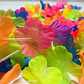 Set 12 Collar Hawaiano Flores Multicolor Cotillon Fiesta - Miniatura 4