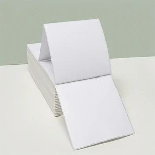 Etiquetas Térmicas Adhesivas 100x100mm 2000 Unidades