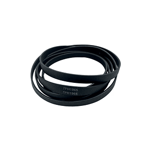 Correa Para Secadora 7PH 1965