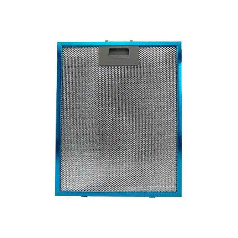Filtro Para Campana FDV Elite 60 Original 2