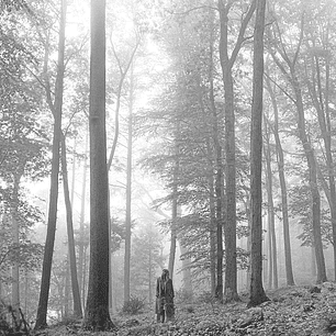 Taylor Swift – Folklore (CD)